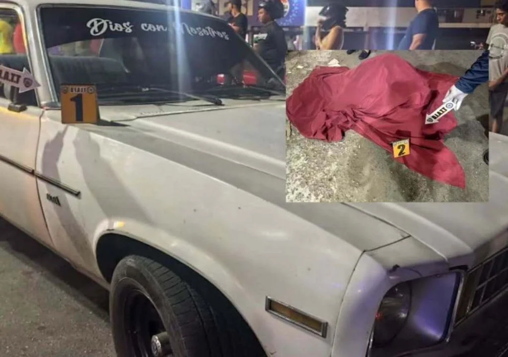Fallece sexagenaria arrollada en el sector Los Plataneros