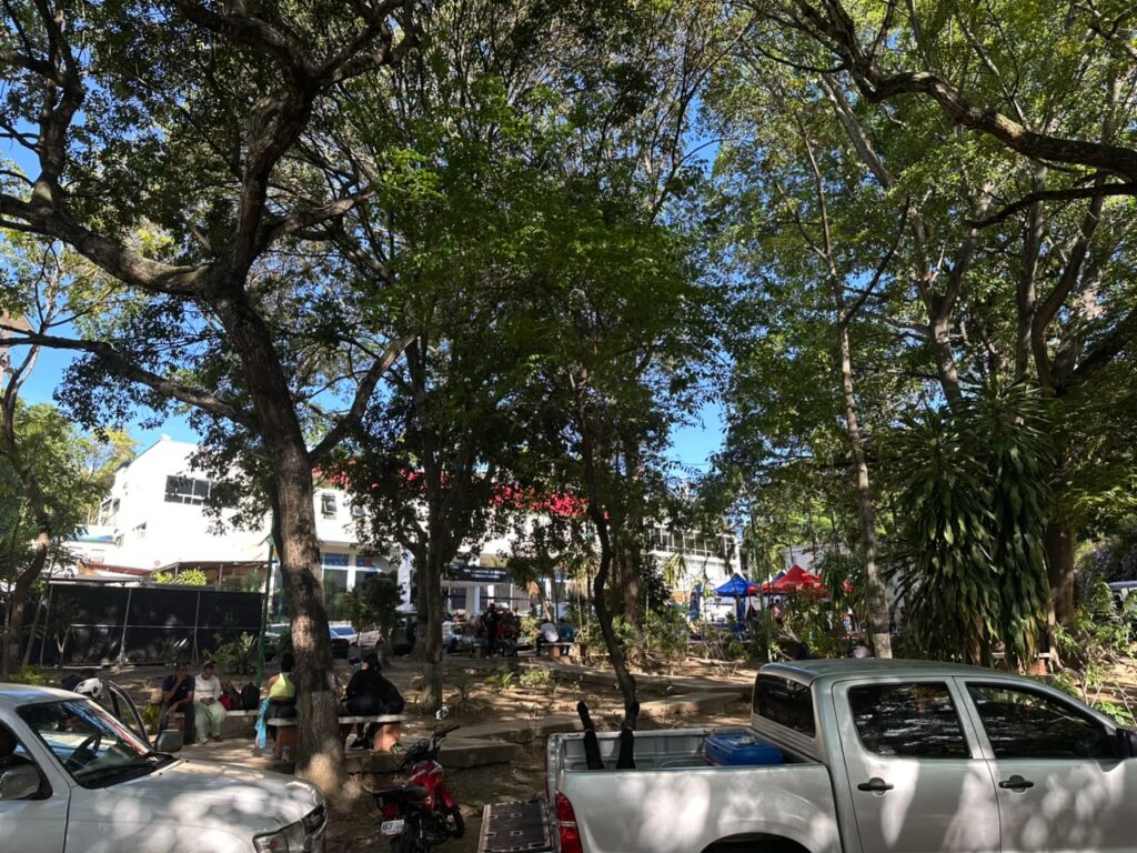 Familias completas fallecieron juntas durante los dos terremotos – Efecto Cocuyo