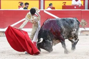 Galván y Diosleguarde pasean trofeos de una manejable corrida de Cebada Gago en Pamplona
