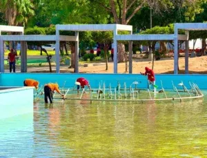 Gobernación del Zulia despliega jornada de recuperación en tres espacios de esparcimiento y recreación de Maracaibo