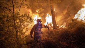 Incendios en España: Pedro Sánchez admite que vienen horas complicadas y ya hay 70.000 evacuados