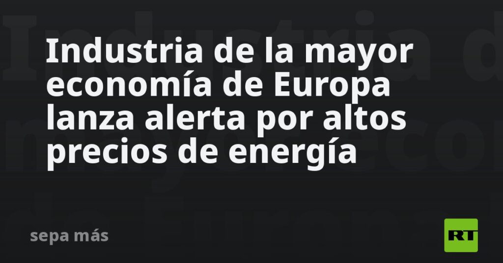 Industria de la mayor economía de Europa lanza alerta por altos precios de energía