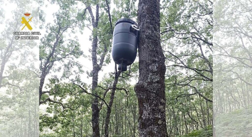 Investigado un hombre por cazar ilegalmente en la Reserva Regional de Caza 'La Sierra' en Guijo de Santa Bárbara (Cáceres)