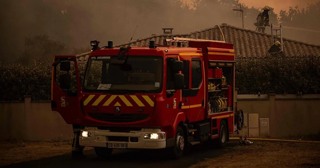Investigan el uso de gatos vivos para propagar incendios en Italia
