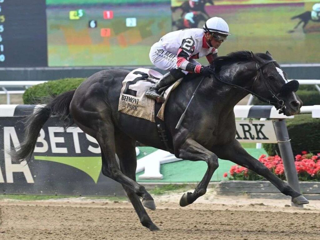 Javier Castellano tendrá doce montas en Saratoga