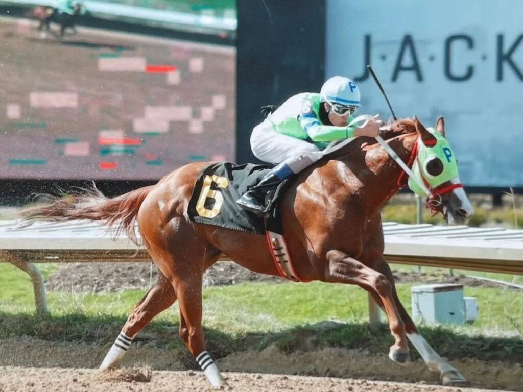 José Armando Bracho está imparable en Thistledown