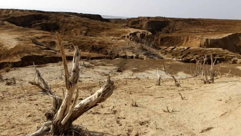 La Tierra no morirá cuando el Sol se convierta en gigante roja: empezará a quedarse sin plantas mucho antes. Un nuevo cálculo alarga la cuenta atrás de la vida hasta casi 1.900 millones de años