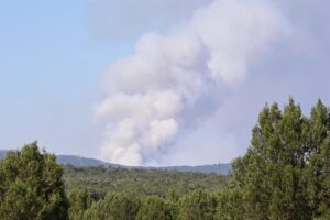 Las hectáreas quemadas siguen creciendo en La Mierla hasta las 32.000 pero el avance de las llamas es más lento | europapress.es