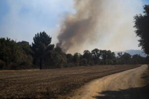 Los Bombers descartan dar por controlado este domingo el incendio de la Bisbal (Girona) | europapress.es
