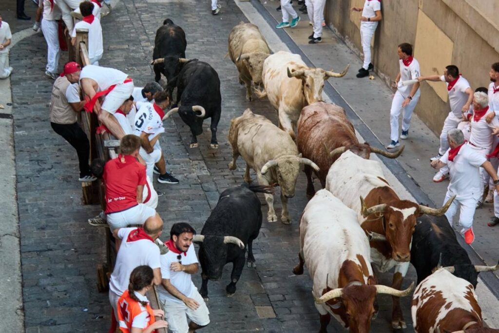 Los toros de Fuente Ymbro protagonizan un rápido y masificado primer encierro de San Fermín