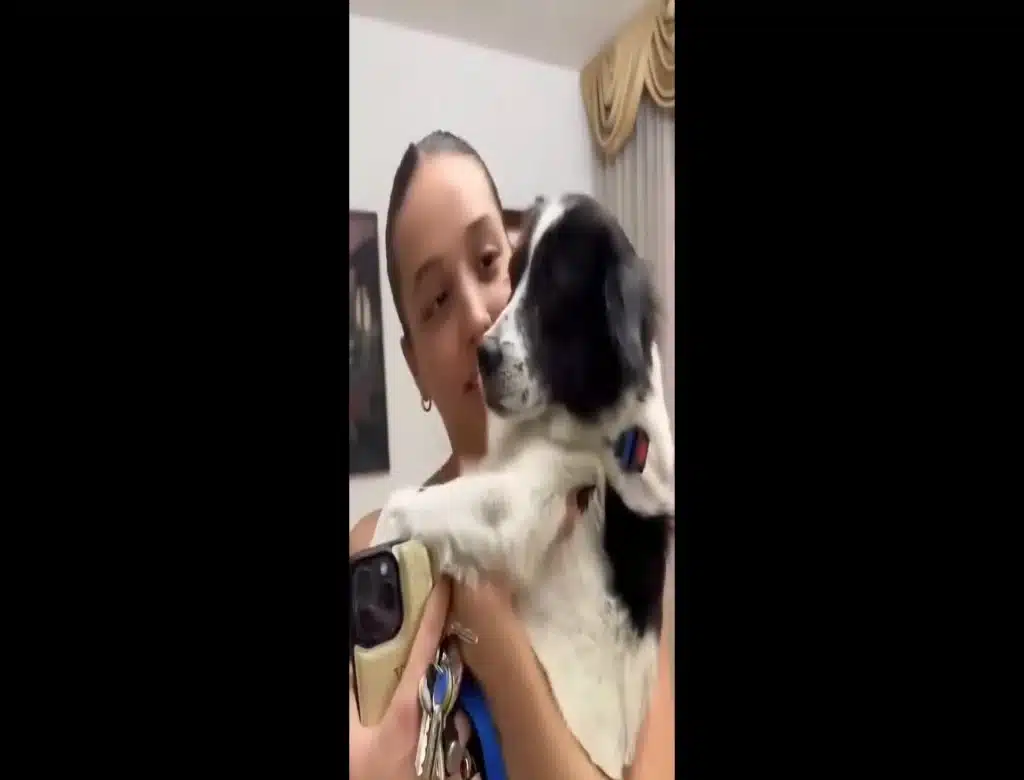 Luz en la tormenta: Perrito que perdió a su familia