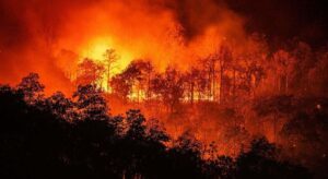 Madrid, en vilo ante el avance del fuego: tres frentes unidos amenazan con agravar el desastre
