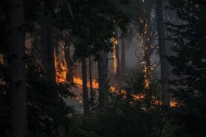 Más de 100.000 afectados, miles de hectáreas quemadas y vías cortadas por el fuego en Madrid, Ávila, Castellón y Toledo | europapress.es