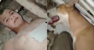 «Mi perro me mantuvo con vida»: La sorprendente historia de un joven que sobrevivió bajo los escombros en La Guaira – AlbertoNews