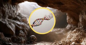 Ocho genomas revolucionan el mapa de las migraciones humanas prehistóricas: el viaje de los neandertales por Centroeuropa hace 100.000 años