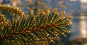 Parecía imposible, pero la naturaleza llevaba millones de años haciéndolo: descubren por qué «brota» oro en las hojas de algunos árboles de Finlandia