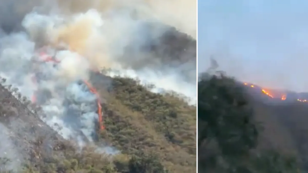 Reportan grave incendio forestal en la zona rural de Tiatino, en Palmira: Bomberos ya atienden la emergencia