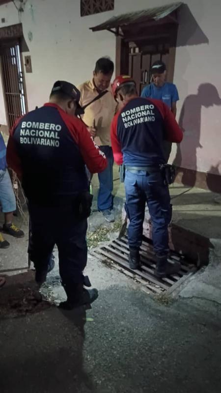 Rescatan a una canina atrapada en tranquilla de aguas pluviales