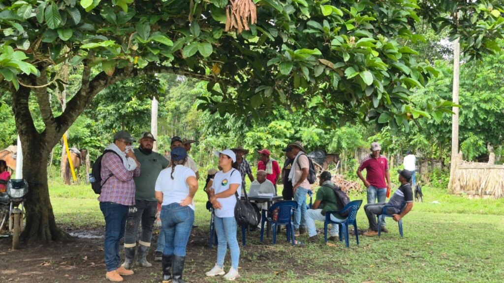 Restitución de tierras en Urabá: familias de Tulapas recuperan 332 hectáreas despojadas