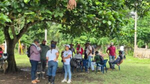 Restitución de tierras en Urabá: familias de Tulapas recuperan 332 hectáreas despojadas