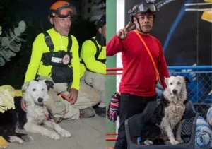 Salvó más de 20 vidas tras el sismo y ahora se quedó sin hogar