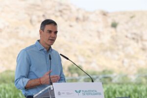 Sánchez visitará este lunes la zona del incendio de Los Gallardos (Almería) | europapress.es