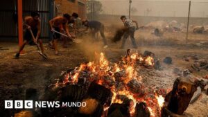 «Si me hubiera demorado cinco minutos más, nos habría arrasado»: los testimonios de los afectados por los devastadores incendios en España y Francia
