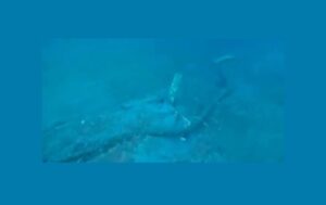 Terremotos hunden el fondo marino de La Guaira