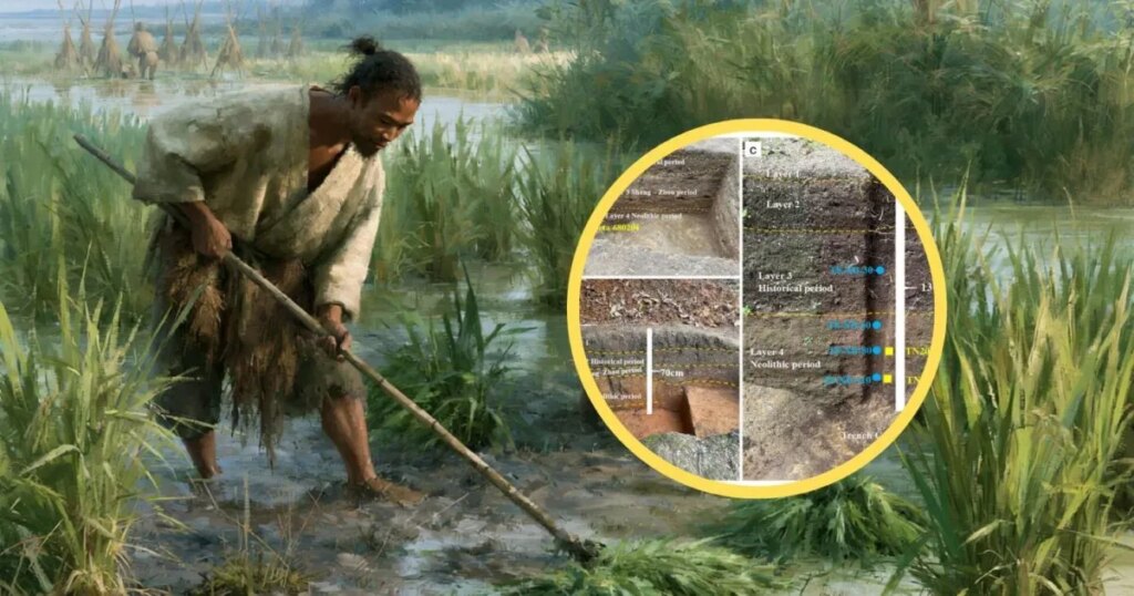 Un hallazgo sin precedentes en el yacimiento chino de Niutoushan revela un Neolítico 3000 años más antiguo de lo que se pensaba