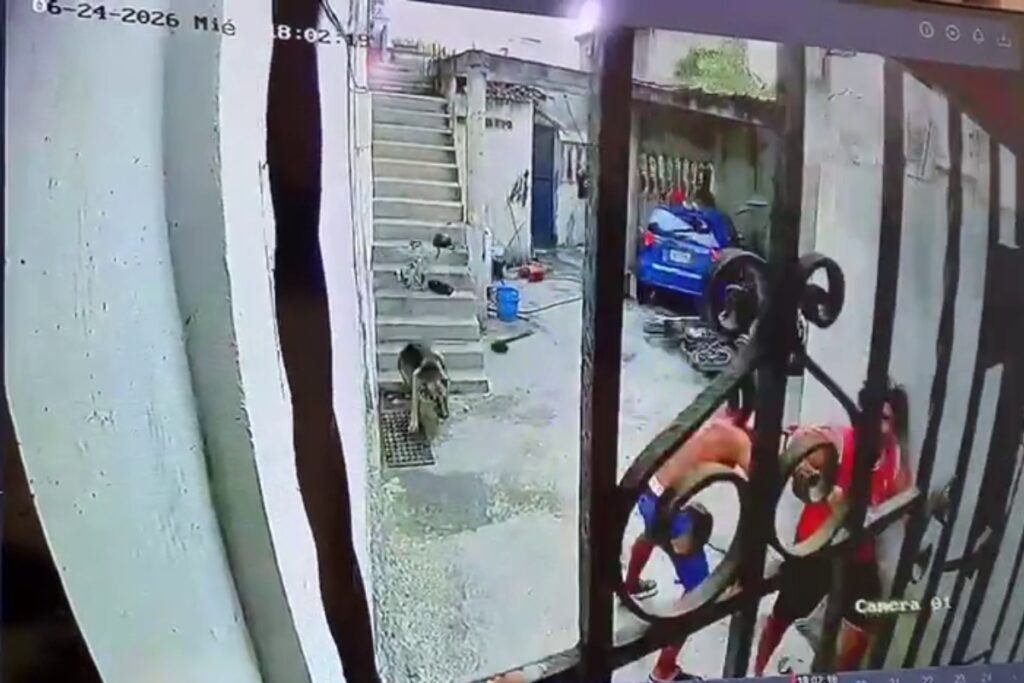 VIDEOS: La desesperada huida que quedó grabada justo antes de que todo se viniera abajo por los terremotos