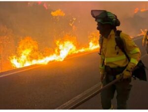 Venezuela se solidariza con España y Francia por incendios forestales