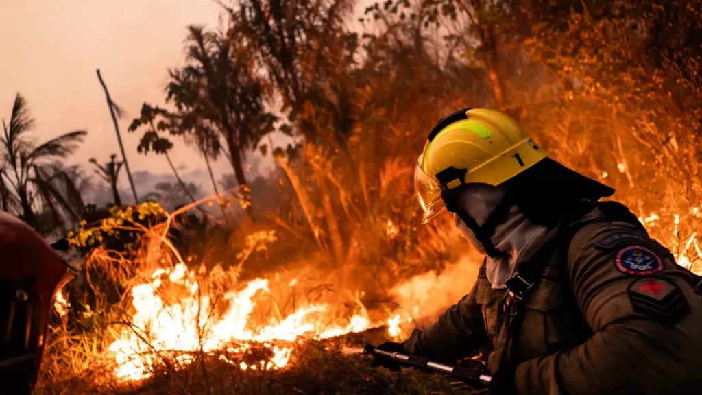 Violentos incendios arrasan Francia: más de 20.000 evacuados en lo que va del verano europeo