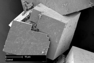 ¿Agua potable del desierto? | Noticias de la Ciencia y la Tecnología (Amazings® / NCYT®)