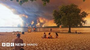 ¿Cómo un incendio puede provocar una tormenta con rayos? El peligroso fenómeno del «dragón de las nubes» que generó el fuego en Francia