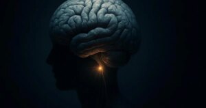 ¿Cuánto sabes sobre la hipófisis, el diminuto órgano que coordina tu cuerpo?
