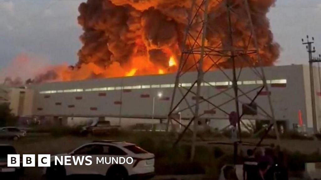 ¿Por qué Ucrania está atacando con tanta fuerza a Wildberries, el equivalente ruso de Amazon?
